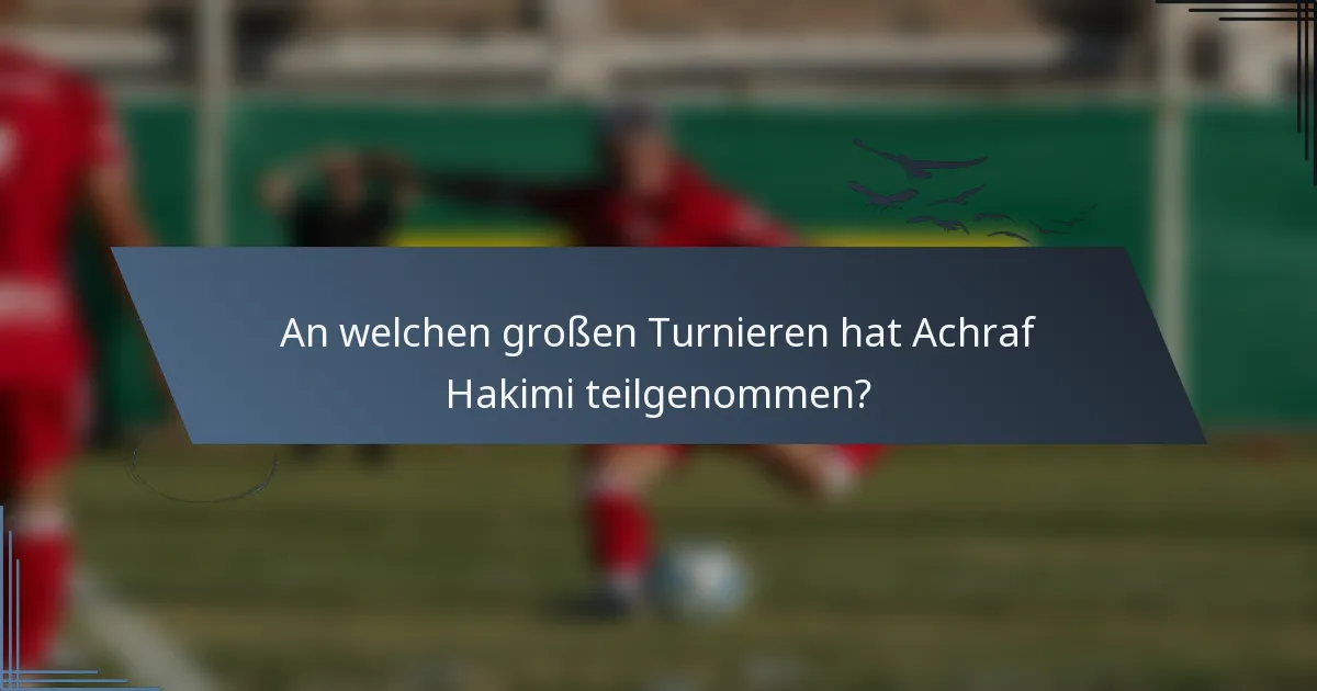 An welchen großen Turnieren hat Achraf Hakimi teilgenommen?