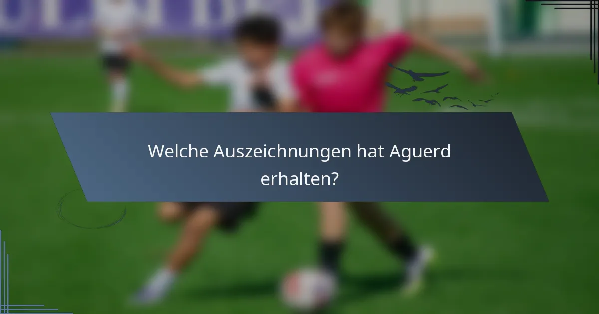 Welche Auszeichnungen hat Aguerd erhalten?