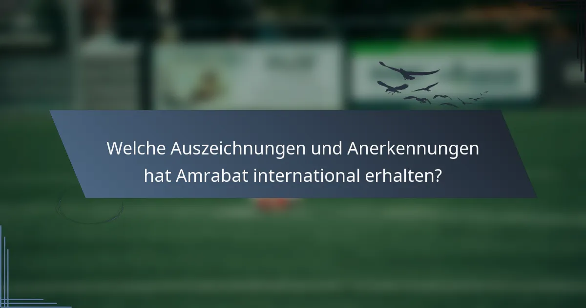 Welche Auszeichnungen und Anerkennungen hat Amrabat international erhalten?
