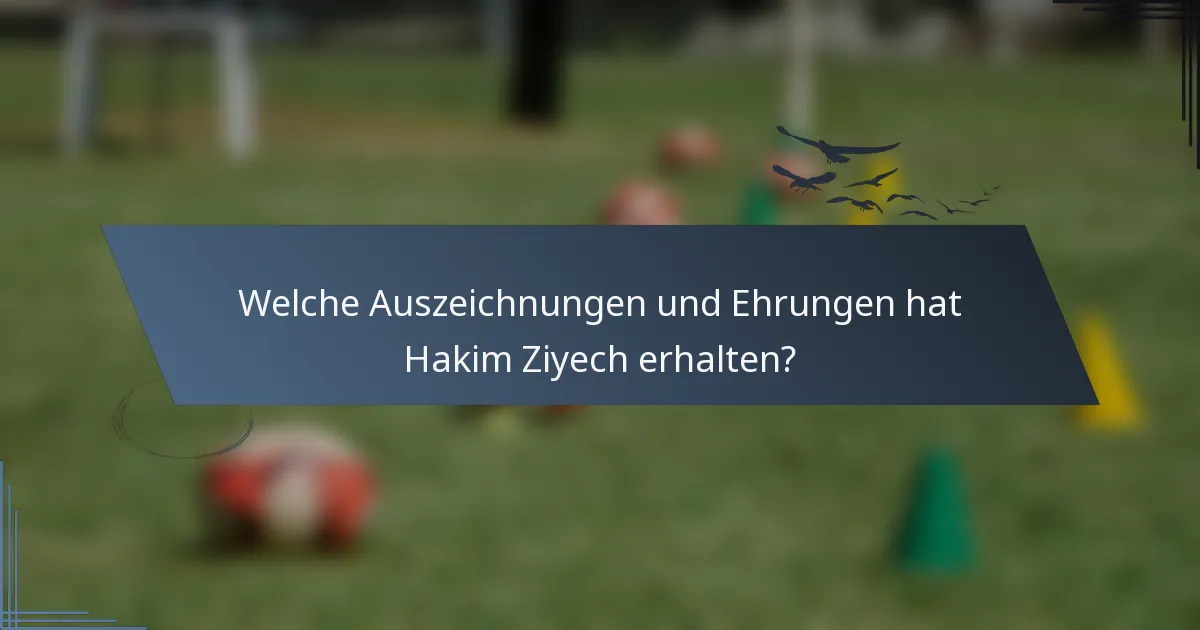 Welche Auszeichnungen und Ehrungen hat Hakim Ziyech erhalten?