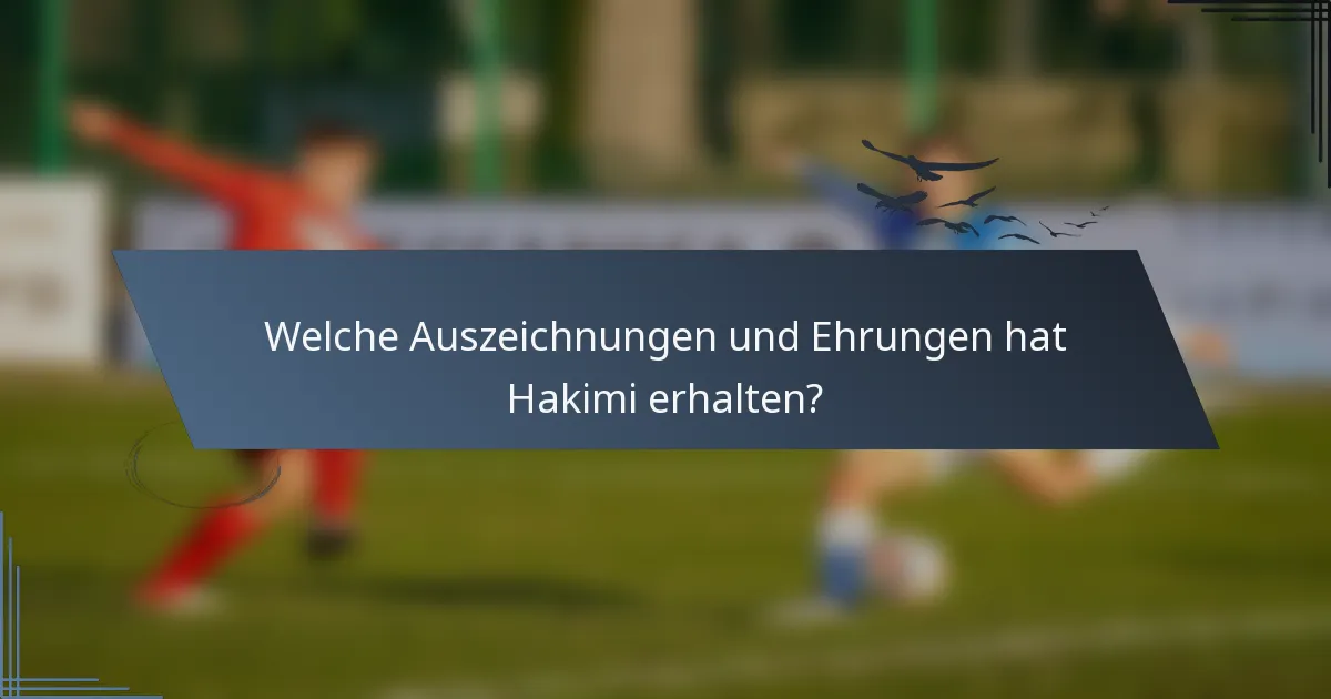 Welche Auszeichnungen und Ehrungen hat Hakimi erhalten?