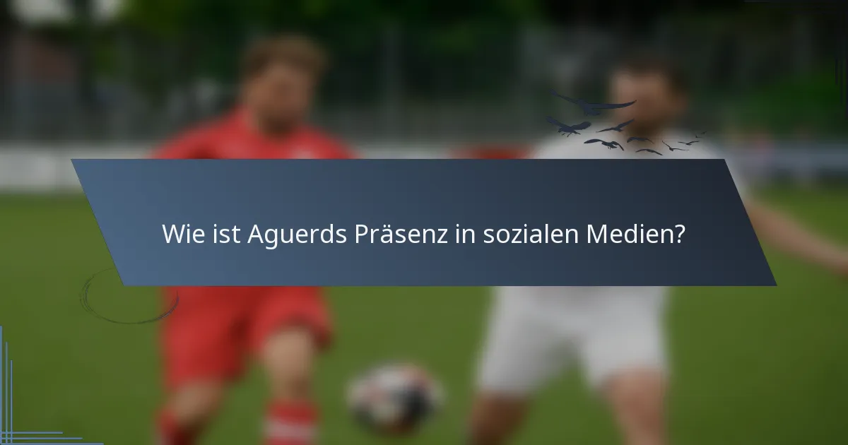 Wie ist Aguerds Präsenz in sozialen Medien?